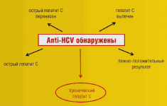 Эффективные схемы лечения гепатита С: генотип вируса играет важную роль!