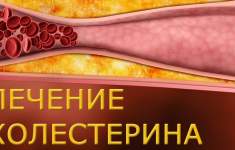 Продукты – помощники для снижения холестерина и очищения сосудов: улучшаем показатели в домашних условиях!