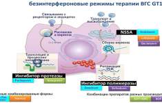 Безинтерфероновая терапия гепатита С: основные преимущества